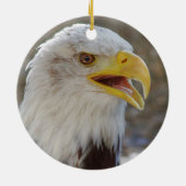 Haliäetus leucocephalus keramikornament (Hinten)