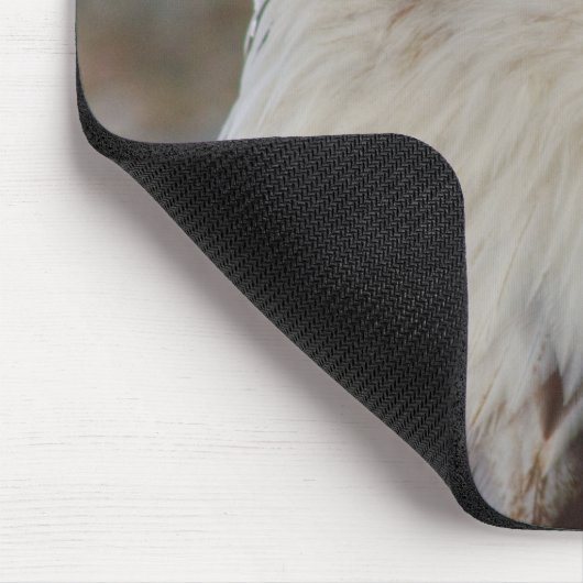 Haliäetus leucocephalus mousepad (Ecke)