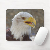 Haliäetus leucocephalus mousepad (Mit Mouse)