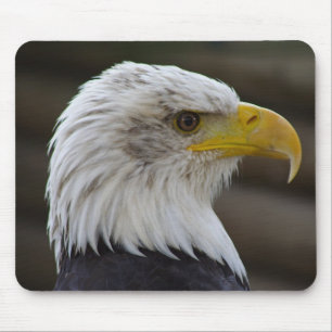 Haliäetus leucocephalus mousepad