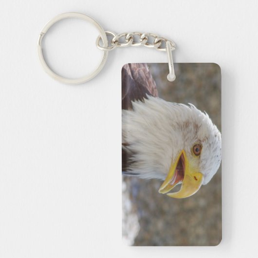 Haliäetus leucocephalus schlüsselanhänger (Vorderseite)