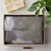 Haliäetus leucocephalus seidenpapier (Geschenk)