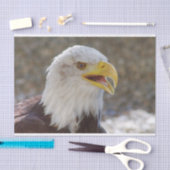 Haliäetus leucocephalus seidenpapier (Handwerk)