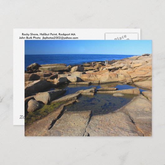 Halibut Point Tide Pool Rockport Cape Ann Postkarte (Vorne/Hinten)