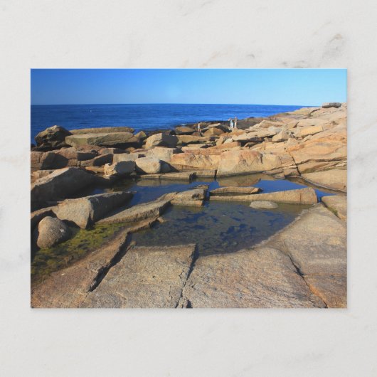 Halibut Point Tide Pool Rockport Cape Ann Postkarte (Vorderseite)
