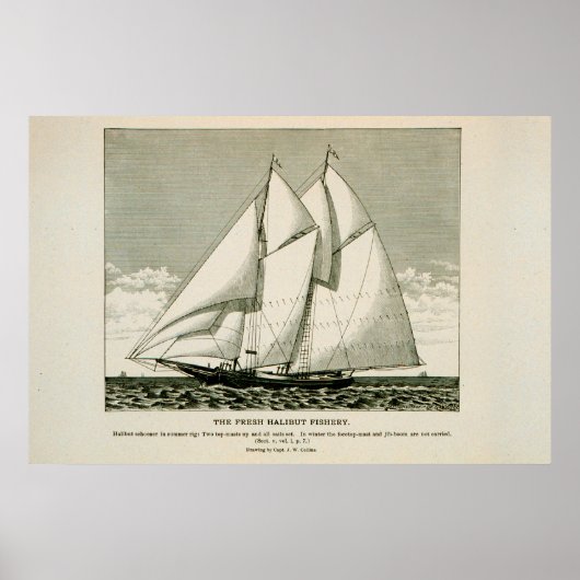 Halibut schooner Poster (Vorne)