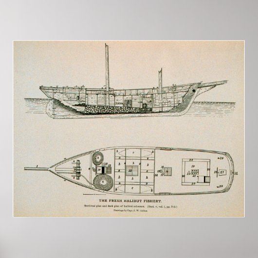 Halibut schooner Poster (Vorne)