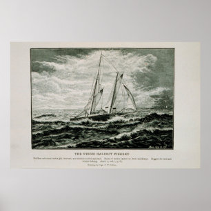 Halibut schooner poster