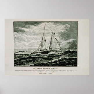 Halibut schooner poster