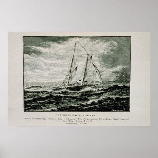 Halibut schooner poster (Vorne)