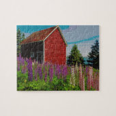 Halifaxlupine, Neuschottland Puzzle (Horizontal)