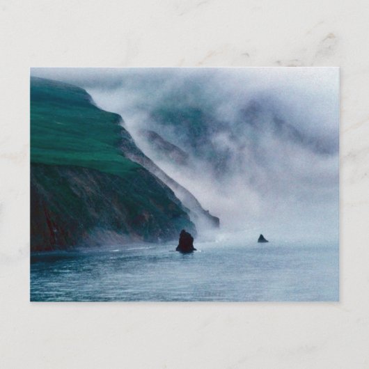 Hall Island, Bering Sea, 1997 Postkarte (Vorderseite)