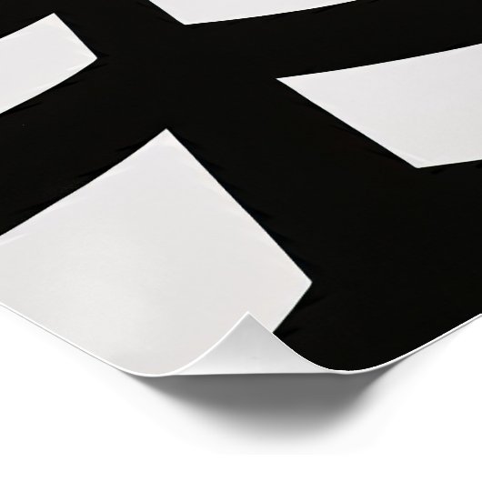 Hall of Illusion Poster (Ecke)