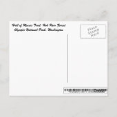 Hall of Mosses Trail, Olympischer Nationalpark Postkarte (Rückseite)