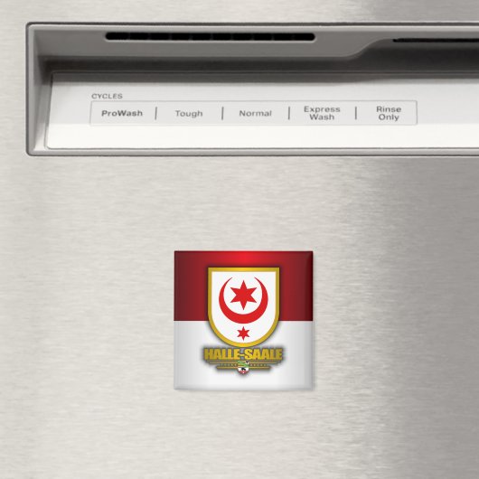 Halle-Saale Magnet (In Situ (Geschirrspüler))