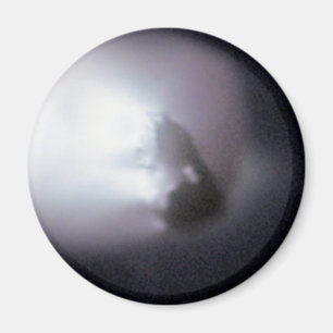 Halleenkomet (1P/Halley) Magnet
