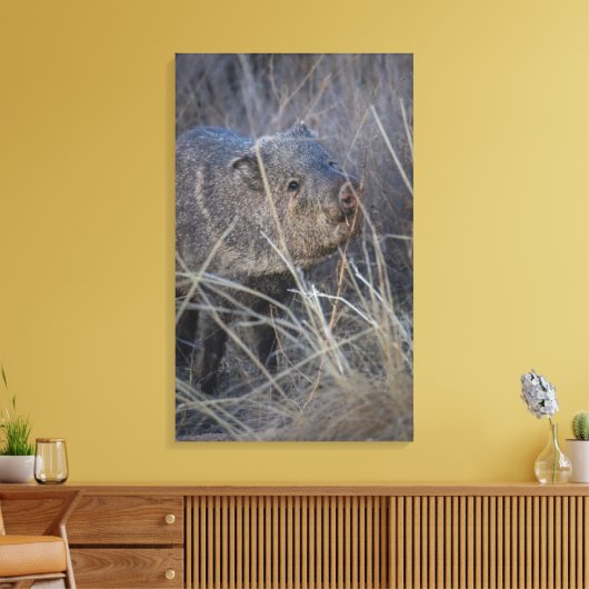 Hallenpiggie Leinwanddruck (Insitu (Wohnzimmer))