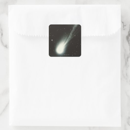 Halleys Comet Quadratischer Aufkleber (Tasche)