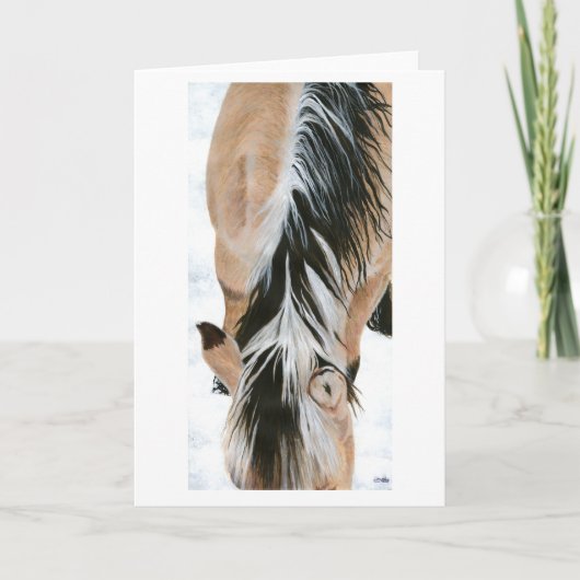 Hallie's Mane Karte (Vorderseite)