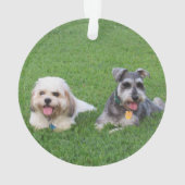 Hallies Verzierung, MiniSchauzer Ornament (Rückseite)