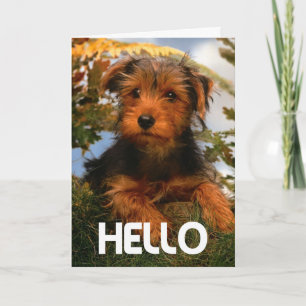 Hallo Airedale Welpen Hund Karte - Vers