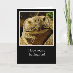 Hallo an Camper Lächeln Schildkröte Karte