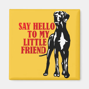 Hallo an meinen kleinen Freund Magnet