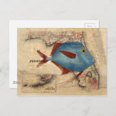 Hallo aus Florida Postkarte (Vorne/Hinten)