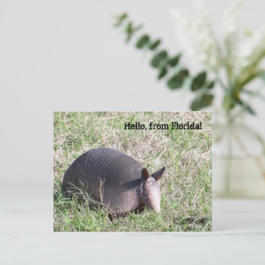 Hallo, aus Florida! Postkarte (Stehend Vorderseite)