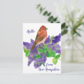 Hallo aus New Hampshire Lila Finch Postkarte (Stehend Vorderseite)