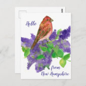 Hallo aus New Hampshire Lila Finch Postkarte (Vorne/Hinten)