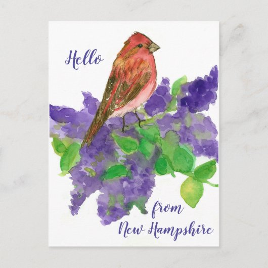Hallo aus New Hampshire Lila Finch Postkarte (Vorderseite)