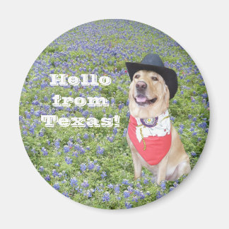 Hallo aus Texas! Magnet