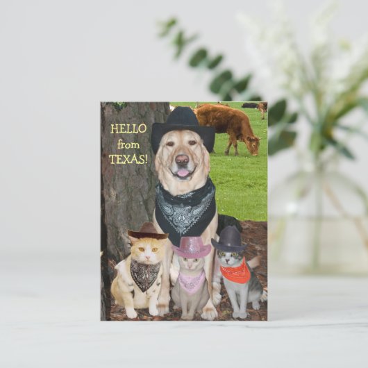 Hallo aus Texas! Postkarte (Stehend Vorderseite)