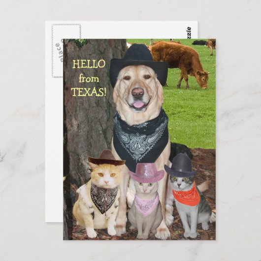 Hallo aus Texas! Postkarte (Vorne/Hinten)