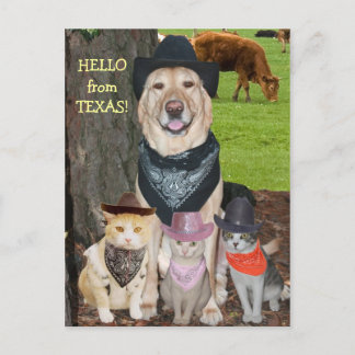 Hallo aus Texas! Postkarte