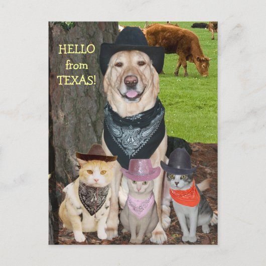 Hallo aus Texas! Postkarte (Vorderseite)