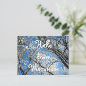 Hallo aus Wisconsin Hübsch Snowy Landschaftliches  Postkarte (Stehend Vorderseite)