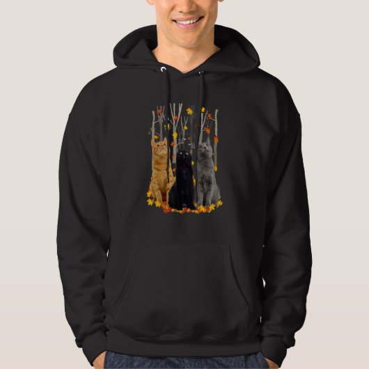 Hallo Autumn Maple Cats Leaf Fall Herz Katze Hoodie (Vorderseite)