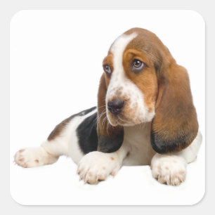 Hallo Basset Hound Welpe Hund Sticker / Label