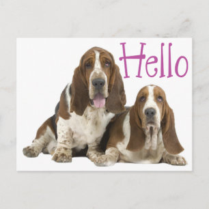 Hallo Basset Hound Welpenhund Lila Postkarte