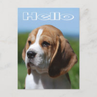 Hallo Beagle Welpe Hund Grußkarte