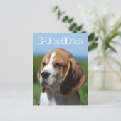 Hallo Beagle Welpe Hund Grußkarte Postkarte (Stehend Vorderseite)