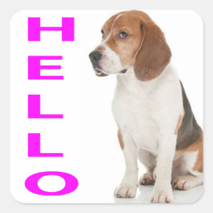 Hallo Beagle Welpen Hund Gruß Aufkleber / Etikett