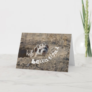 Hallo Beautiful Karte