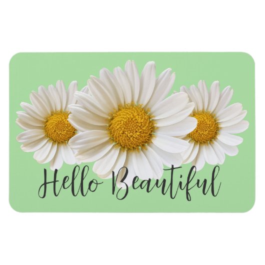 Hallo Beautiful White Daisis Sage Green Floral Magnet (Horizontal)