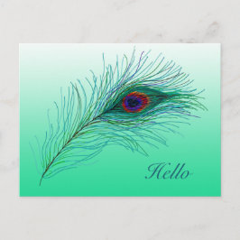 Hallo, Behalt in Touch Peacock Feathers Postkarte