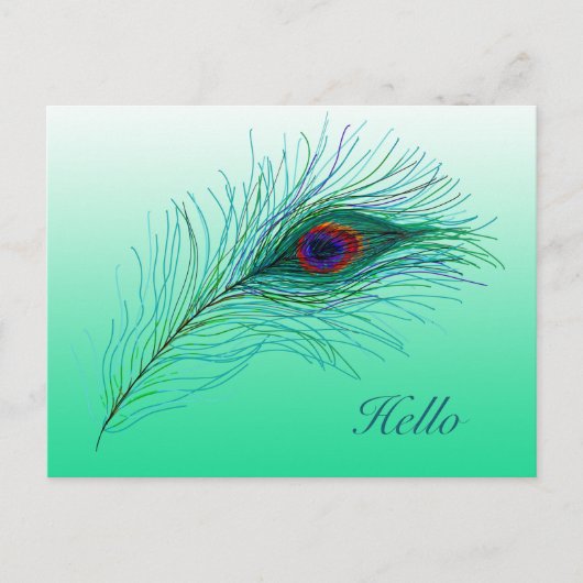 Hallo, Behalt in Touch Peacock Feathers Postkarte (Vorderseite)