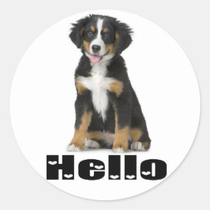 Hallo Berner Sennenhund-Welpe Hund Berner Liebe Runder Aufkleber
