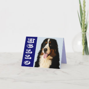 Hallo Berner Sennenhund Welpen Grußkarte Karte